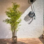 Casa vacanze Mas Tomasi 264